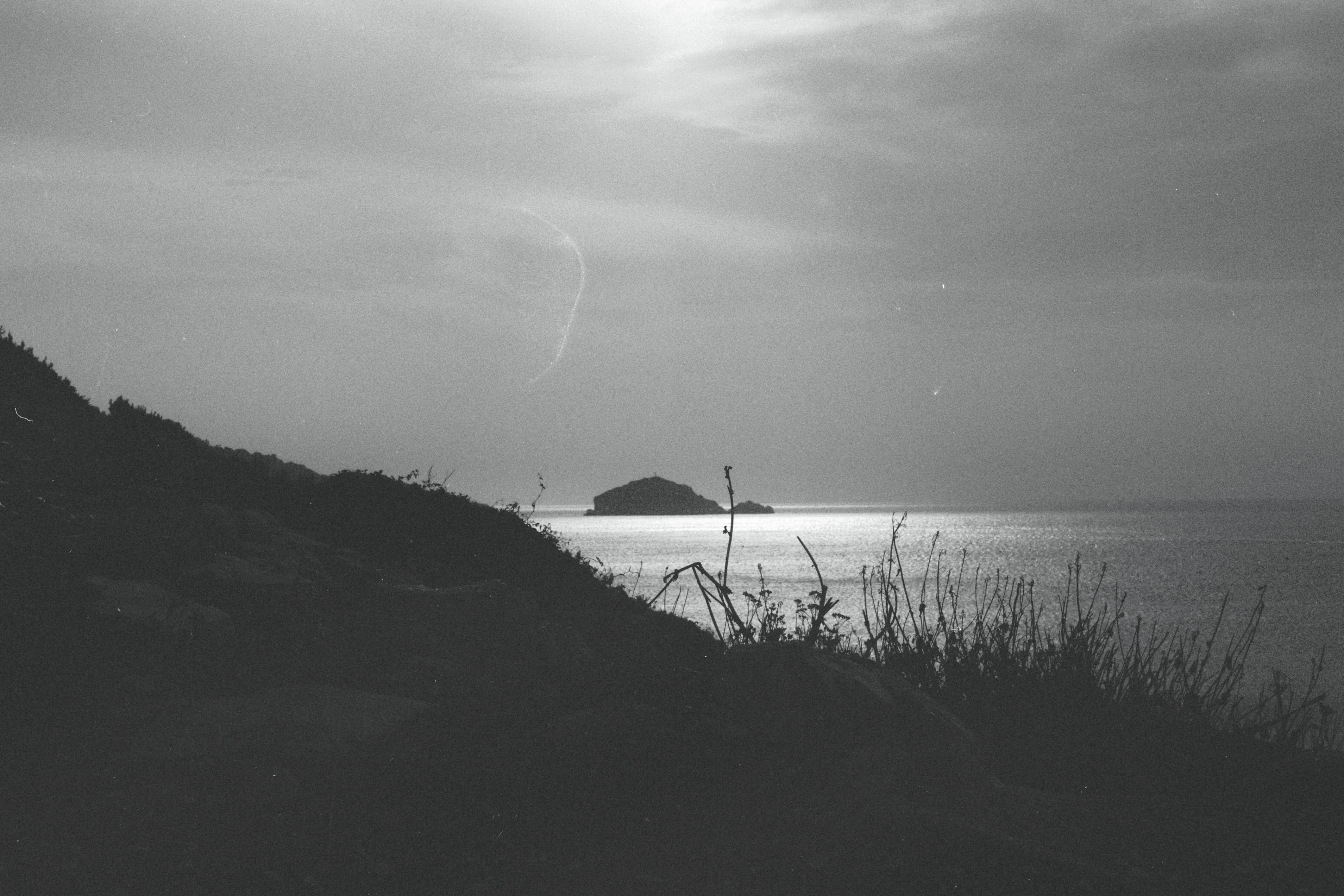 description de la photo